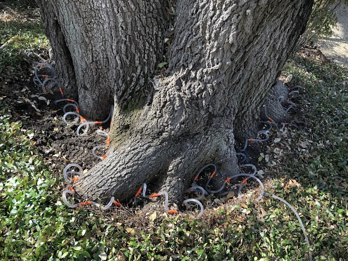 Detailed Shrub and Hedge Trimming job site in Interlochen