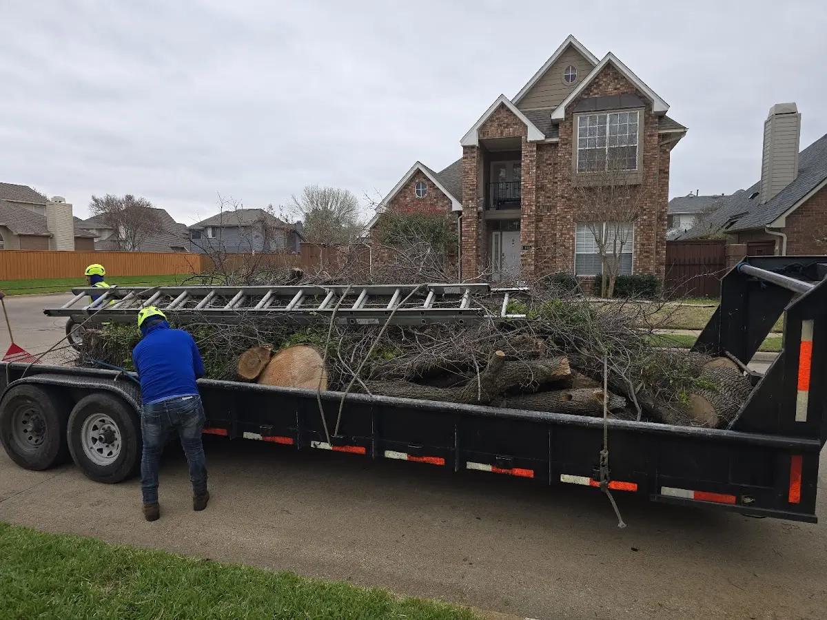 Expert Crown Reduction with proper safety equipment in Interlochen